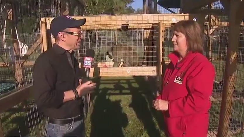 Ninja Joe the monkey finds a new home