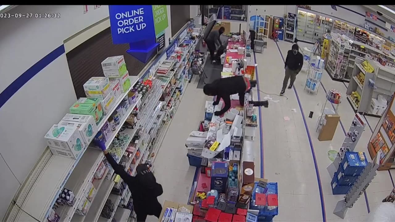 Lansdowne Ave looting video