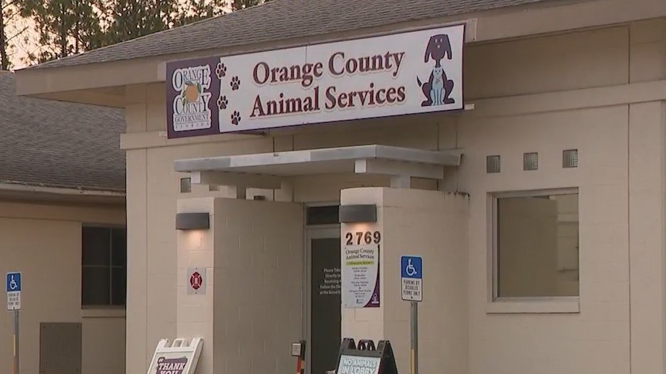 No new dogs at shelter amid virus outbreak