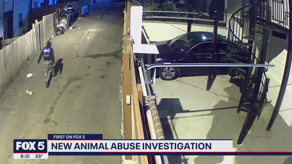 Dog abuse caught on camera in Northwest DC