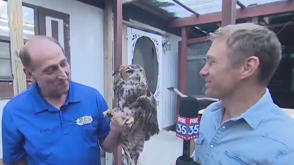 What to expect at Ocala wildlife sanctuary