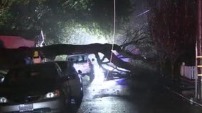 North Bay power outages, downed trees and flooding brought by rainstorm
