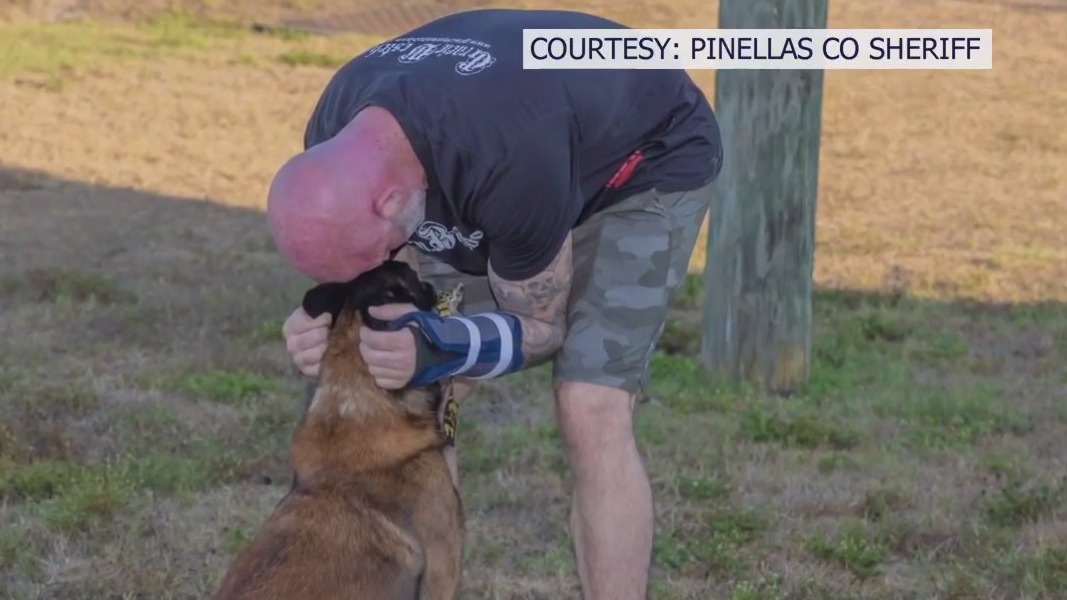Pinellas deputy recalls coming face-to-face with suspect who opened fire