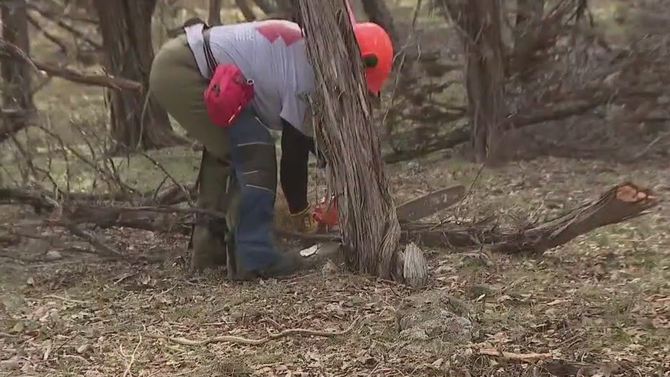 Preparing for wildfires in Williamson County