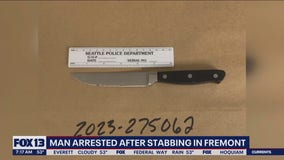 Man arrested after stabbing in Fremont