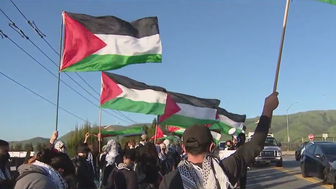 Police deploy pepper balls on Pro-Palestinian protesters outside Tesla Fremont factory