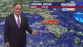 Tampa weather | Getting hotter