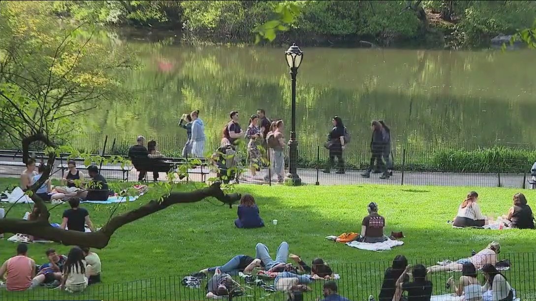 Central Park muggings