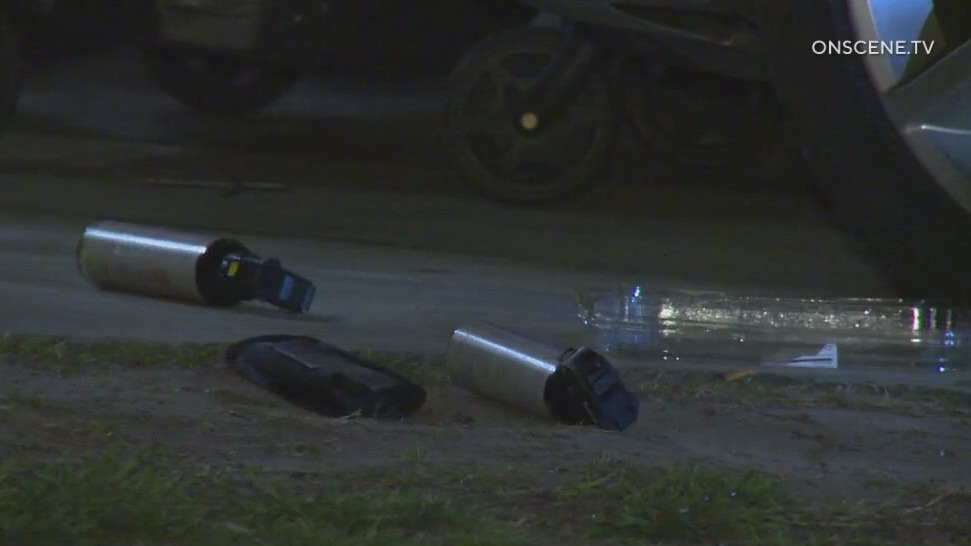 Sleeping family attacked with bear spray