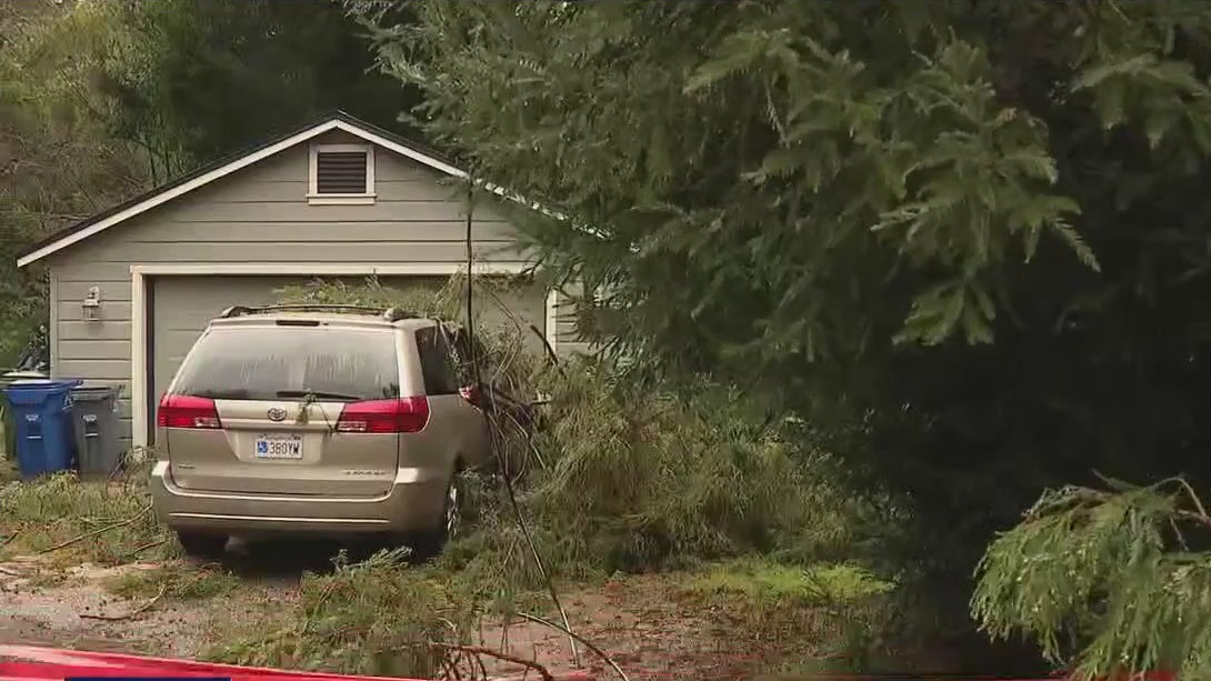 Storm blamed for death in Santa Cruz Co., 2nd person narrowly escapes injury