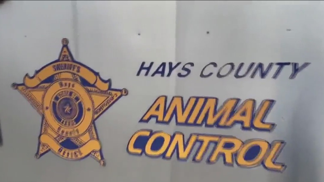 Hays County Animal Control's small crew fights population growth and call increase