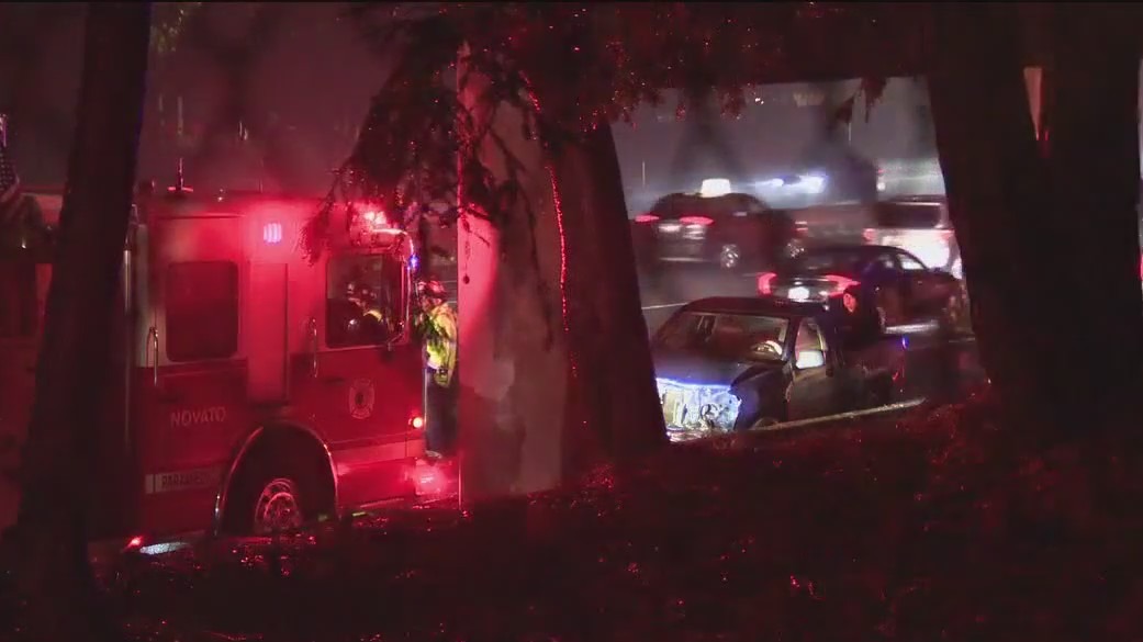 Tree service companies bracing for busy few days