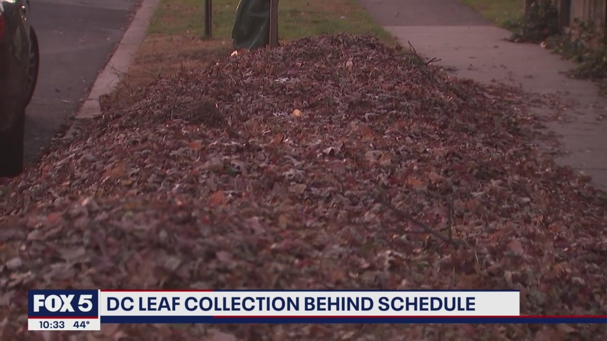 DC leaf collection behind schedule
