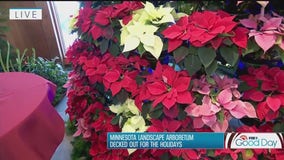 Minnesota Landscape Arboretum is decked out for the holidays