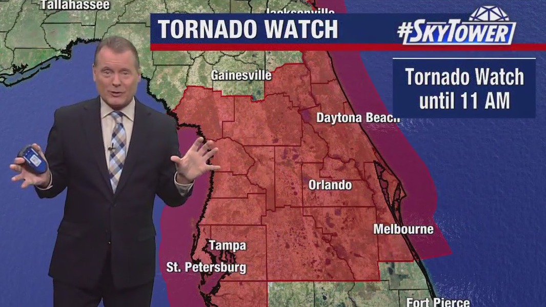Tampa weather | tornado watches in effect this AM