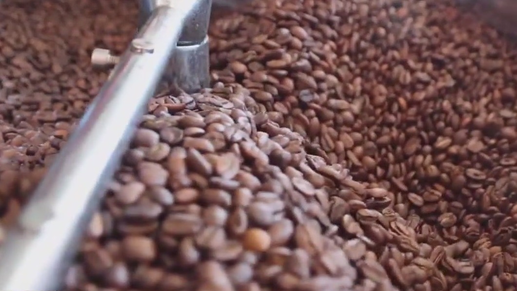 Study reveals origins of coffee, hints at future