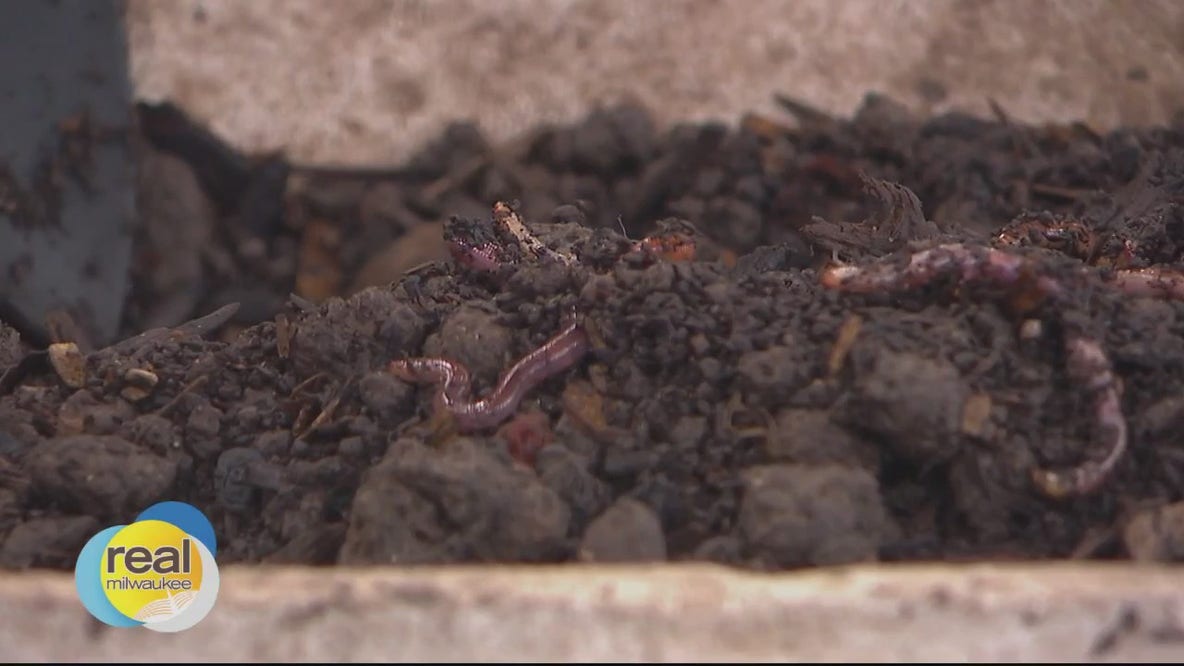 Worm Composting 101