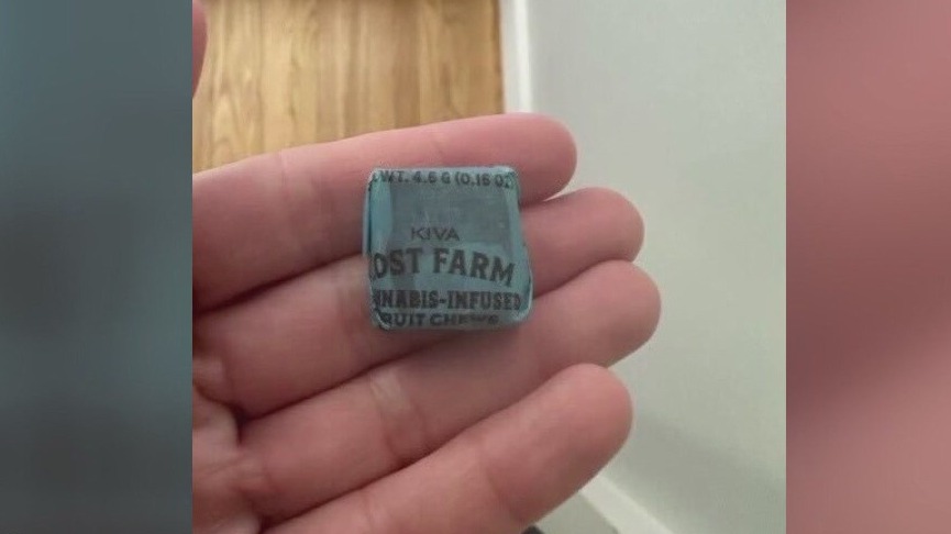 Four children receive cannabis fruit chews at school's Halloween event