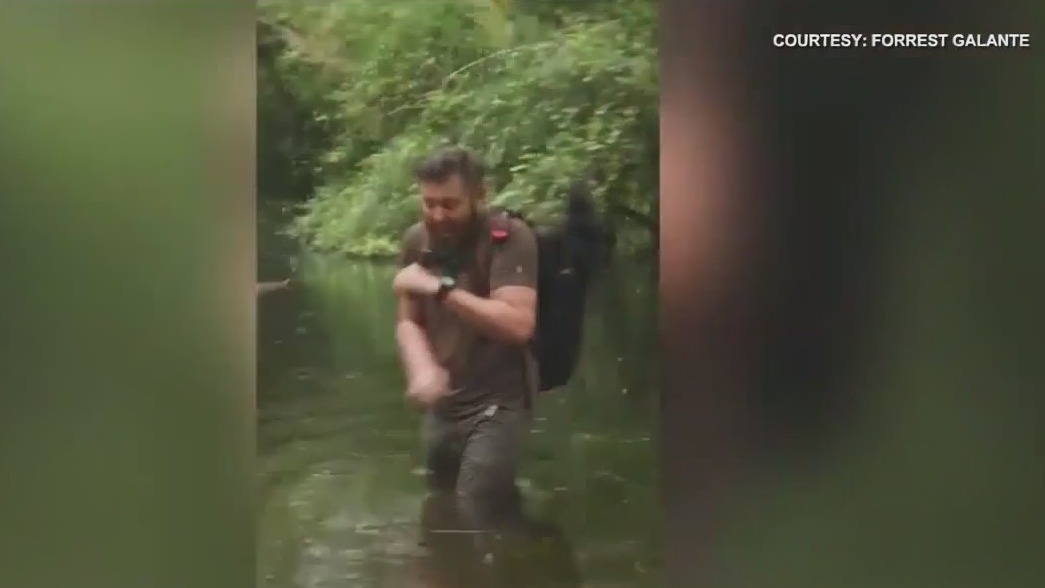 Lightning strikes behind man in Everglades