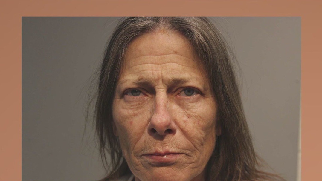 Woman killed her elderly roommate: sheriff
