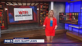 Anti-Slapp Laws Explained