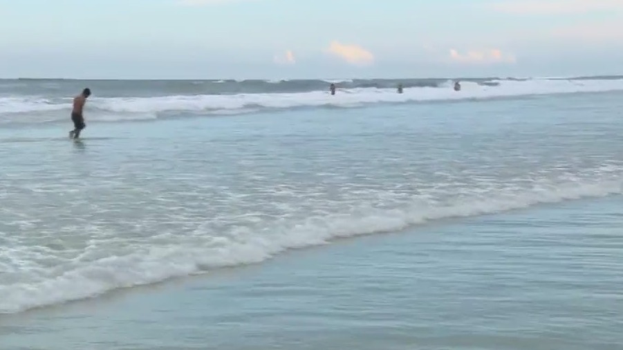 Man bitten in face by shark at Florida beach