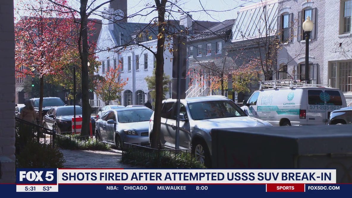 Secret Service agents protecting Biden's granddaughter open fire when 3 people try to break into SUV
