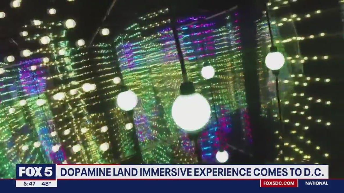 Dopamine Land brings immersive experience to DC
