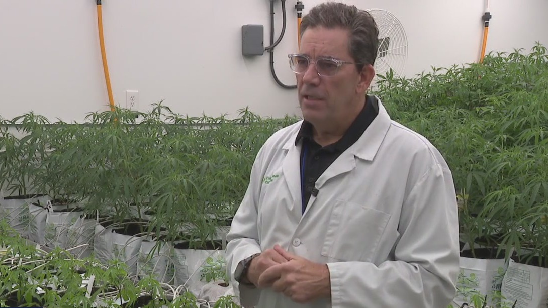 Medical marijuana dispensary owner talks future of marijuana in Texas