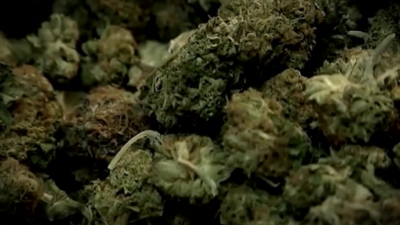 Recreational pot: Will it be on the 2024 ballot?