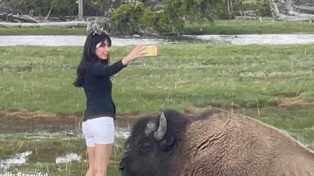 'Selfie control' Instagram filter helps you judge distance from wildlife