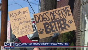 ‘Keep the dogs safe’: Dozens protest The Dog Resort following Monday’s fire