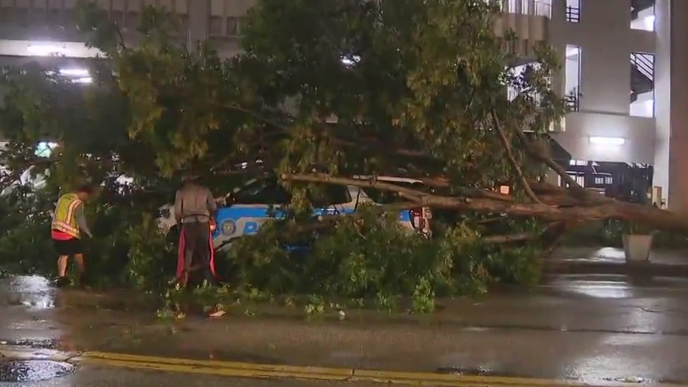 Storm topples tree onto Orlando Police car