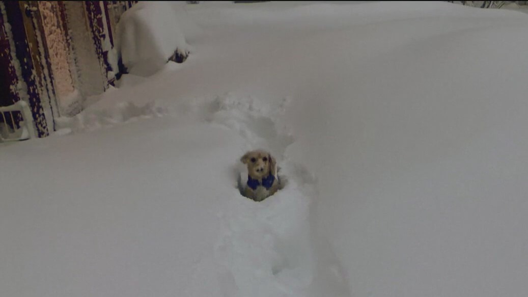 Sierra snow totals: Sugar Bowl gets 10 feet of snow