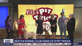 Seattle Kennel Club joins Liz's Pet Tricks