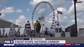5 Things to Do in National Harbor