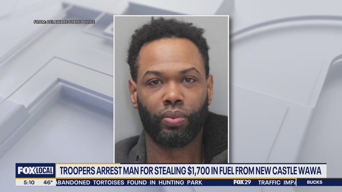 More than $1,700 stolen from Wawa gas pump using special device: police