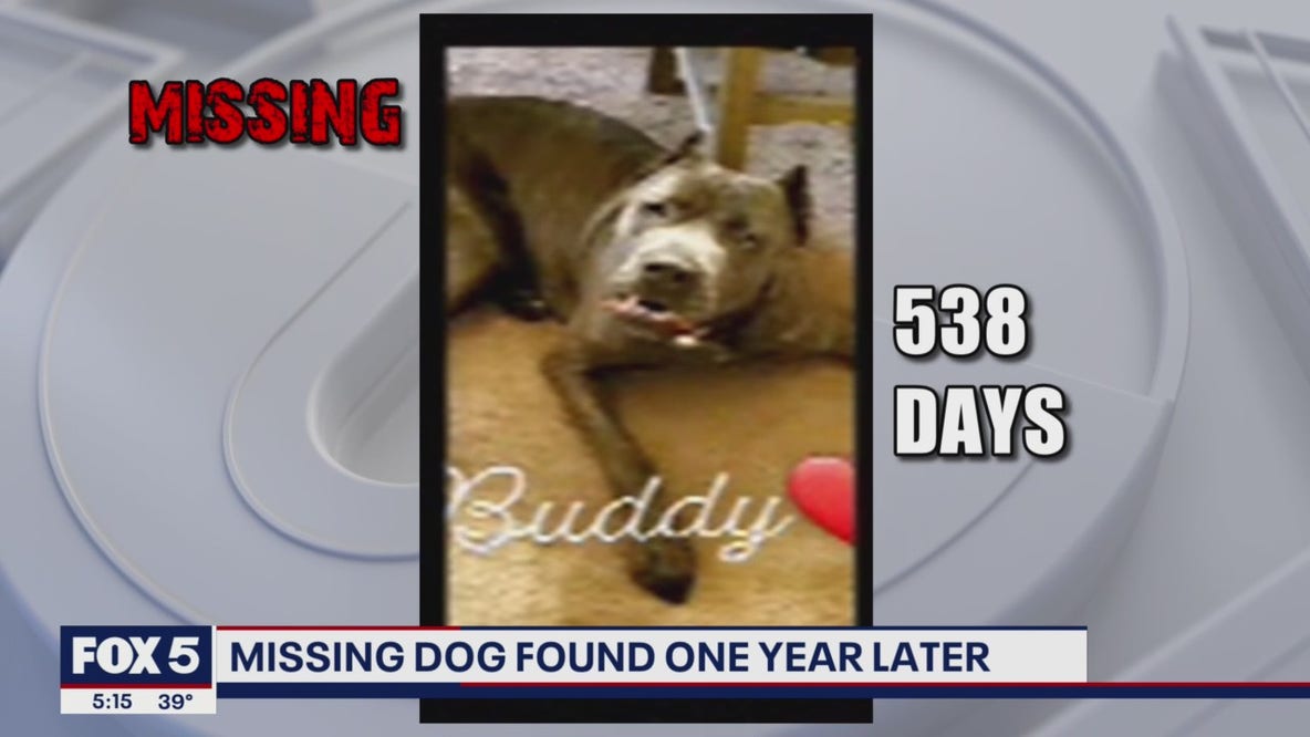 Missing dog found more than 500 days later
