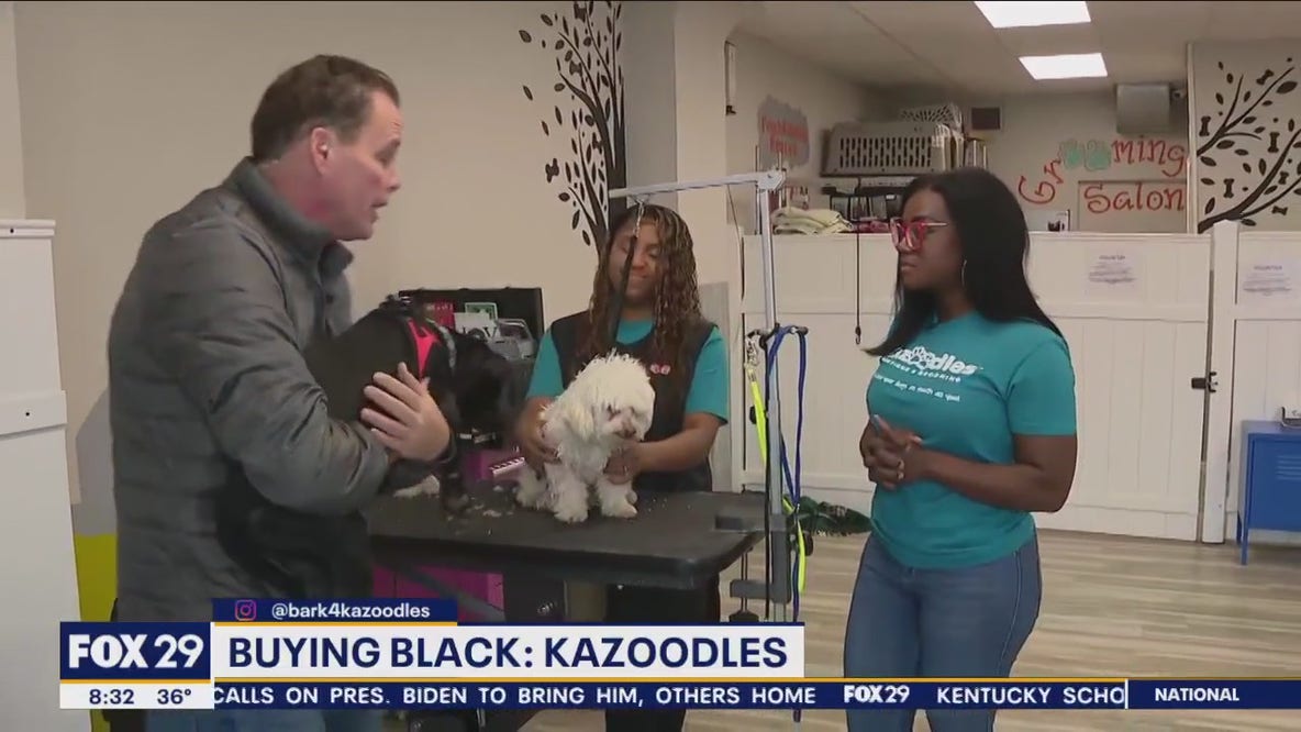 Kazoodles Pet Grooming details the importance of taking care of your dog's coat