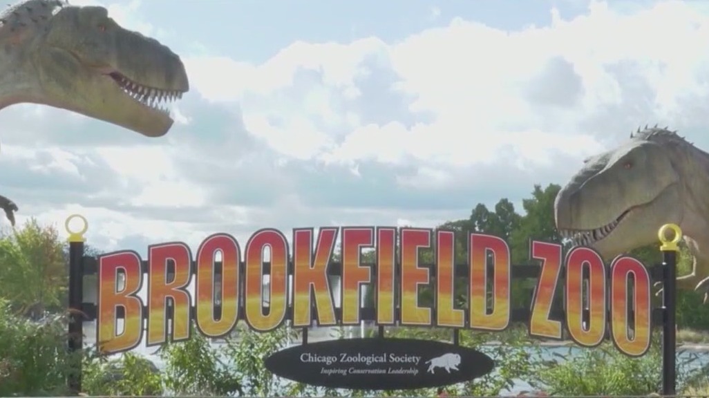 Brookfield Zoo ranks among best zoos nationwide