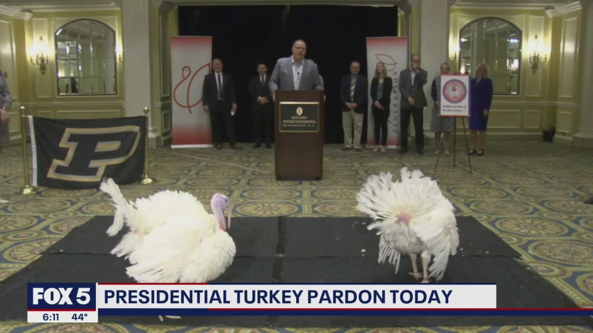 President Biden to pardon turkeys Peanut Butter and Jelly in annual Thanksgiving event