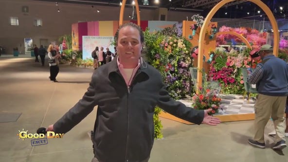 Good Day Uncut: Hank at the Flower Show
