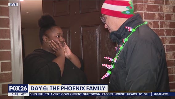 12 Days of Christmas Day 6: The Phoenix Family