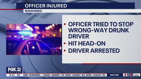 Wauconda police officer injured trying to stop wrong-way drunk driver