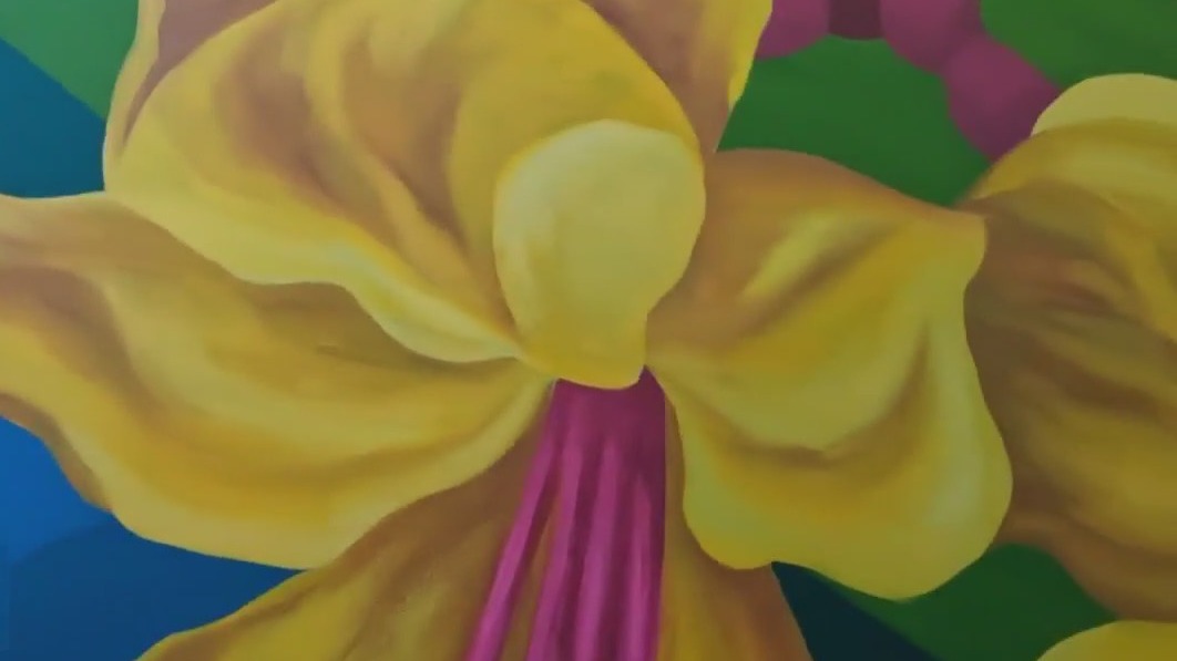 Meet the artists behind the St. Pete Clearwater Airport murals