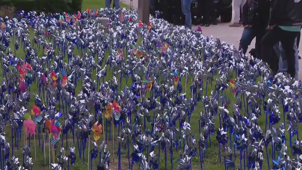 Annual pinwheels display  installed in The Woodlands