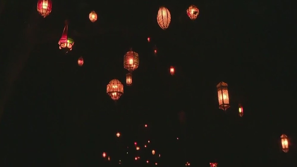 Dazzling Nights at Leu Gardens