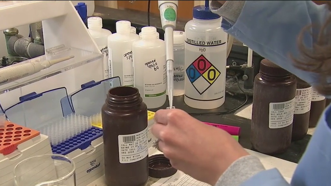 Polio found in Nassau County Wastewater
