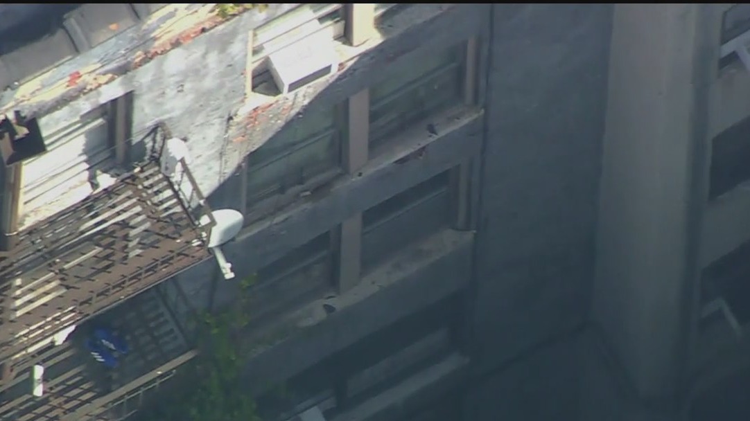 Toddler dies after fall from window