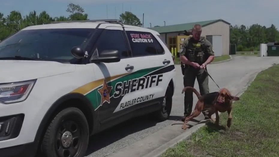 Florida sheriff's office warning of puppy scams